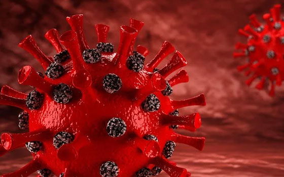 3D Corona Virus